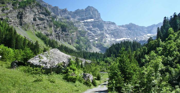 Vallon de Nant