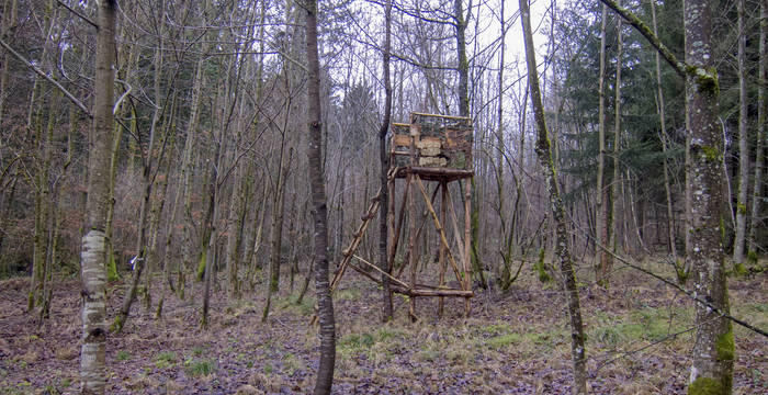 Jagdhochsitz im Wald © Matthias Sorg